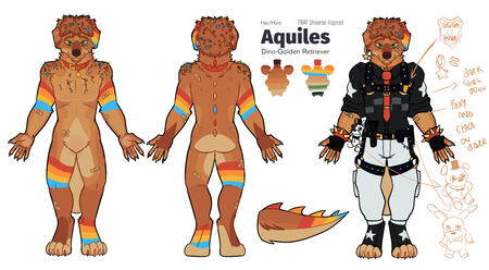 Ref coloed